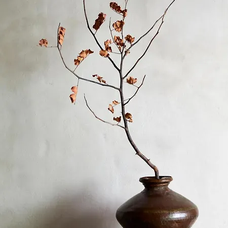 Gaia - Secret Roc Vila